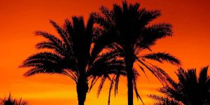 Estate Planning Lawyer Port Orange
